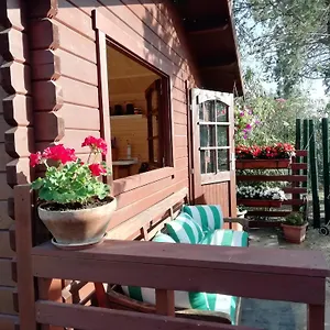 Appia Antica Guest house